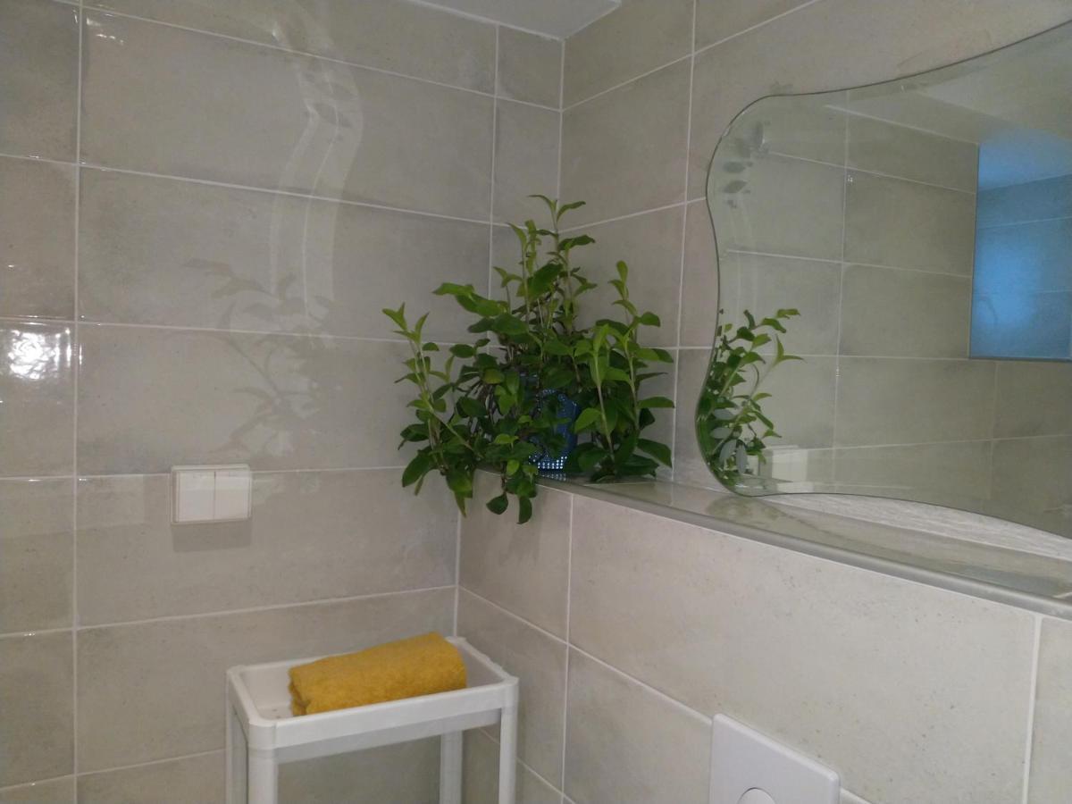 Renovated Semi- Basement 2 Bedrooms Furnished Apartment - Close To Everything In موس المظهر الخارجي الصورة